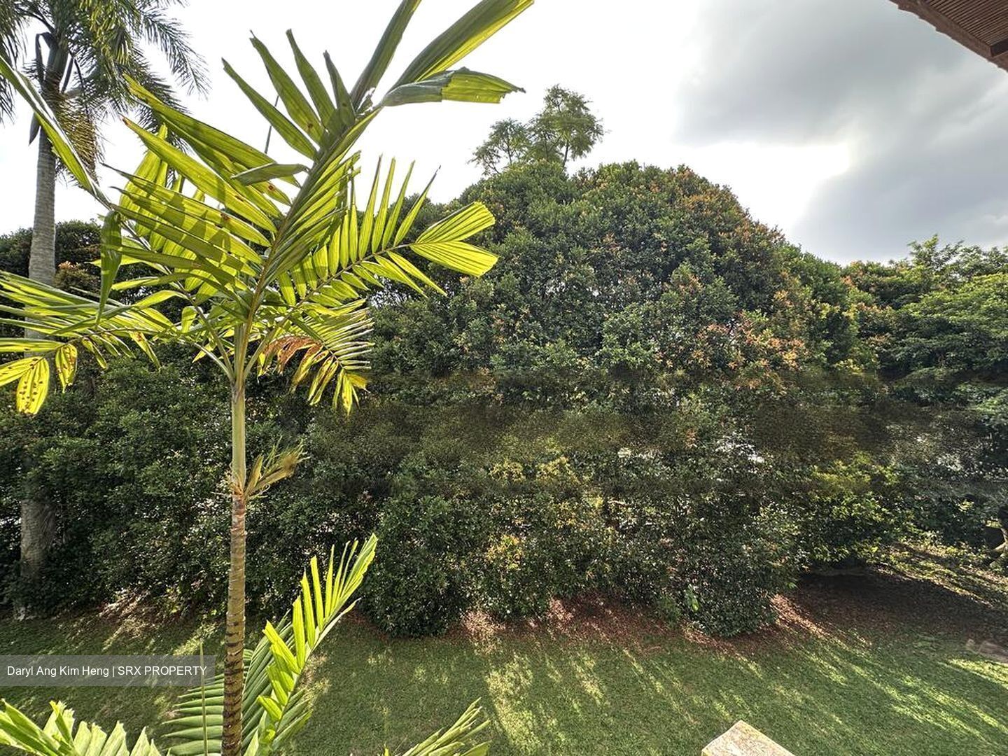 Ang Mo Kio Avenue 4 (D20), Semi-Detached #467619511